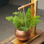 Modern Wooden Decorative Planter Stand Flower Pot Rack Shelf with Hanging Pot for Outdoor Indoor Home Office Garden Balcony Porch Patio Terrace Corner Display