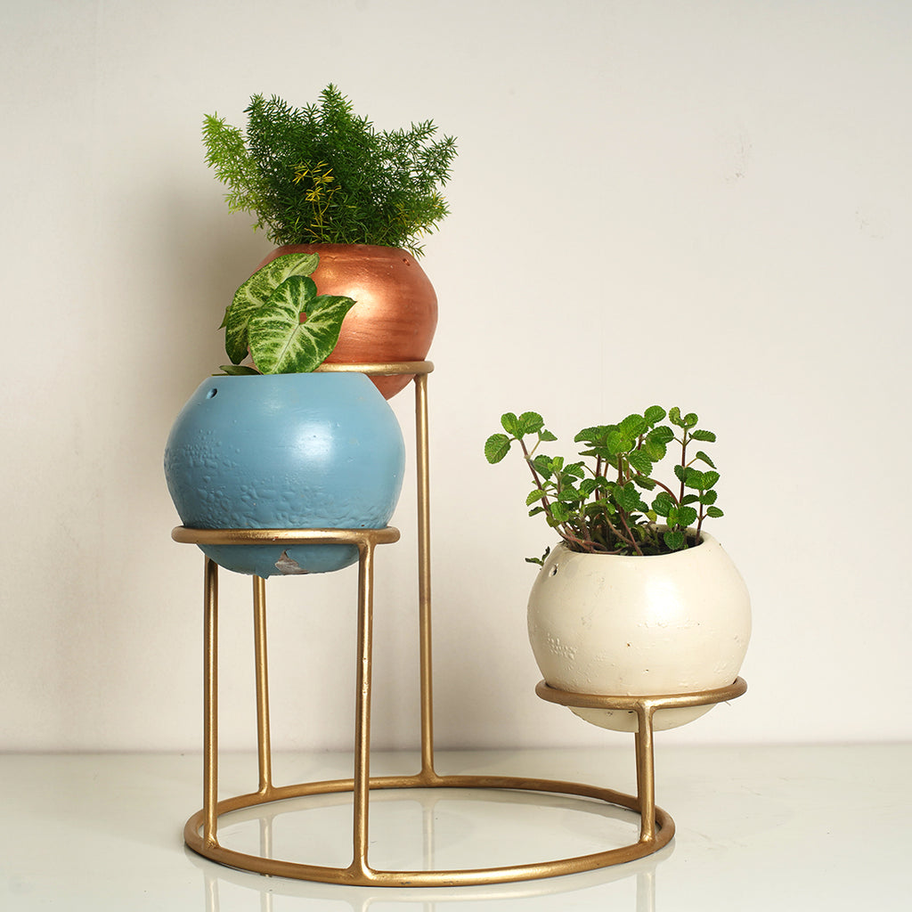 Tabletop 3 Tier Modern Style Planter Set, Indoor Outdoor Home Item for Garden Plants Flower, Balcony, Patio, Living Room, Garden, Bedroom Décor (Pack of 1)