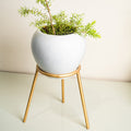 Metal Planters Long Round Gold Stand, Stylish Long Round Strong legs Perfect Stand For Planter indoor and Outdoor ( Planters Holder Stand - Set of 1)
