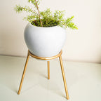 Metal Planters Long Round Gold Stand, Stylish Long Round Strong legs Perfect Stand For Planter indoor and Outdoor ( Planters Holder Stand - Set of 1)