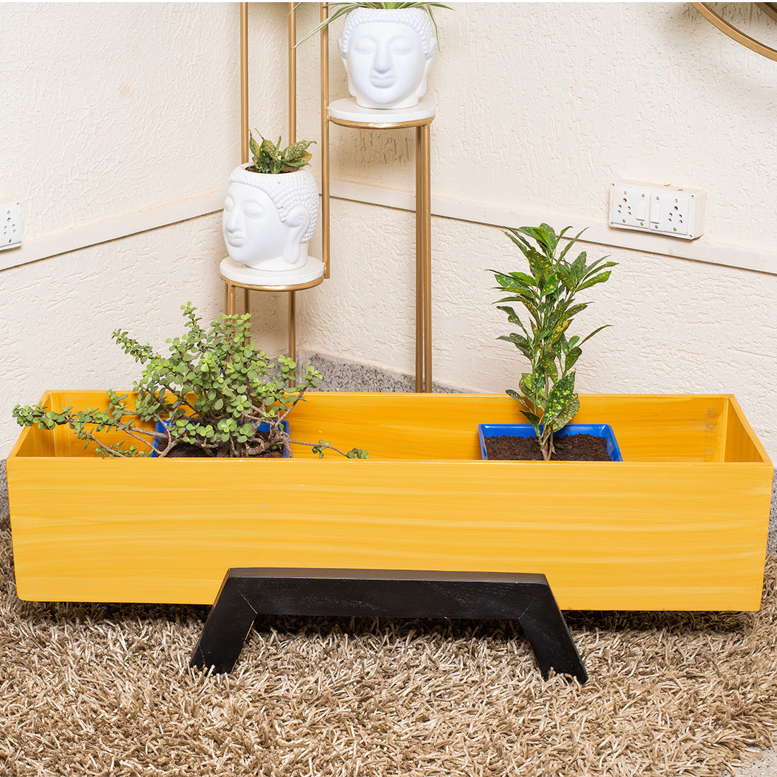Rectangle Wooden Succulent Planter Box Indoor/Outdoor Eco-Friendly for Garden for Home
