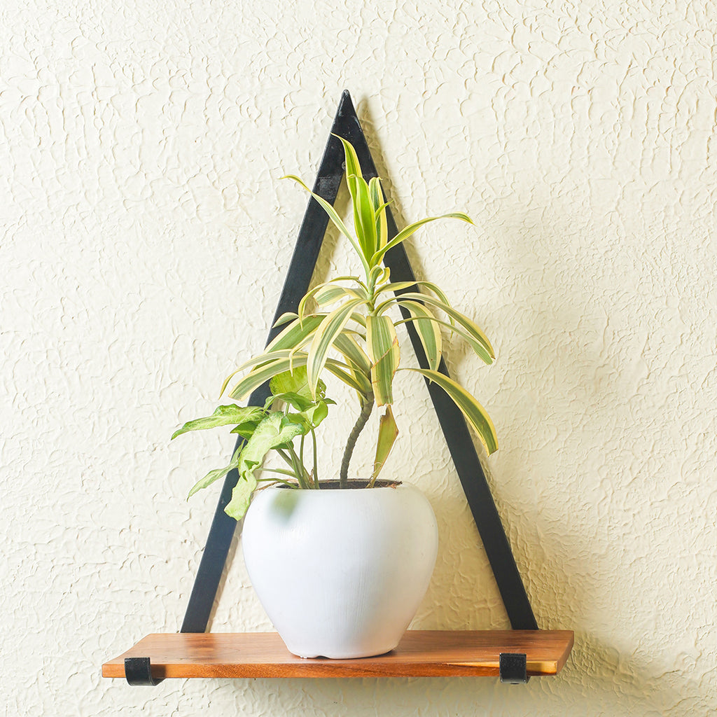 Wooden Stylish Triangle Frame Wall Shelves for Living Room, Bedroom, Garden, Balcony to Decoration Your Home Wall.