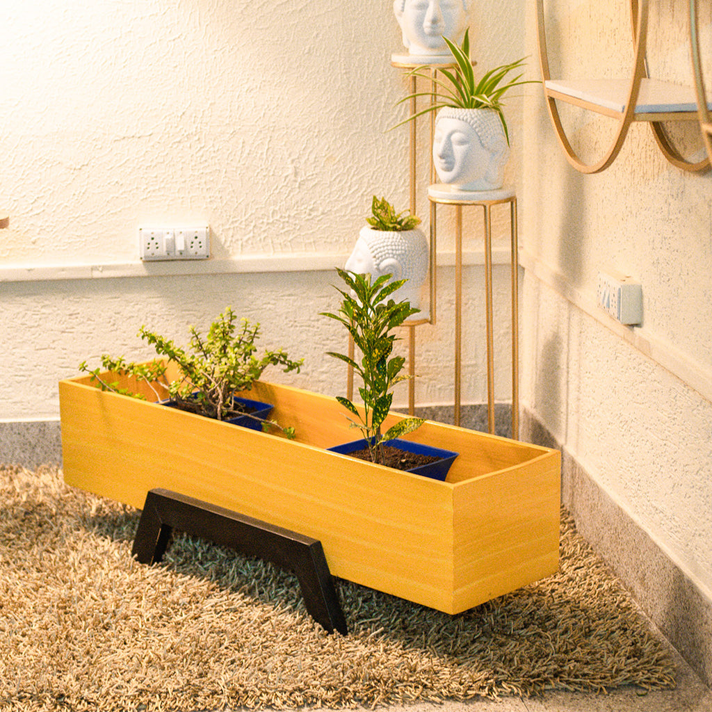 Rectangle Wooden Succulent Planter Box Indoor/Outdoor Eco-Friendly for Garden for Home