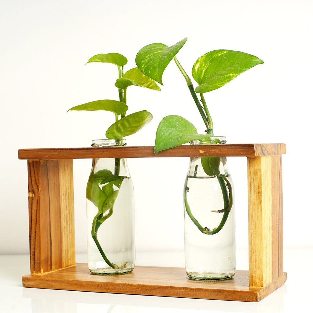 Wooden Plant Stand