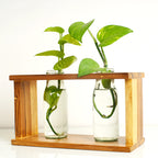 Wooden Plant Stand