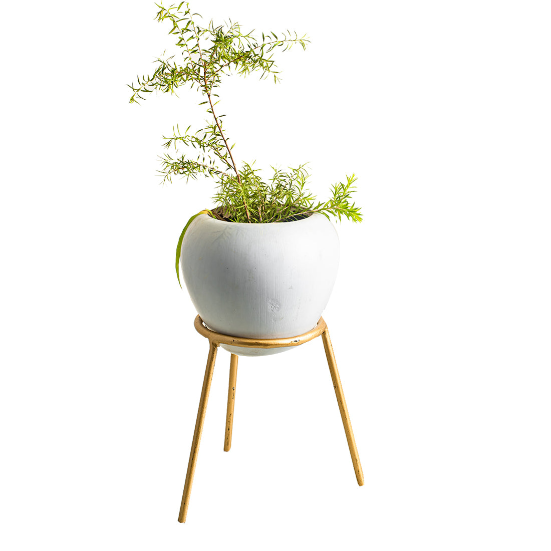 Metal Planters Long Round Gold Stand, Stylish Long Round Strong legs Perfect Stand For Planter indoor and Outdoor ( Planters Holder Stand - Set of 1)