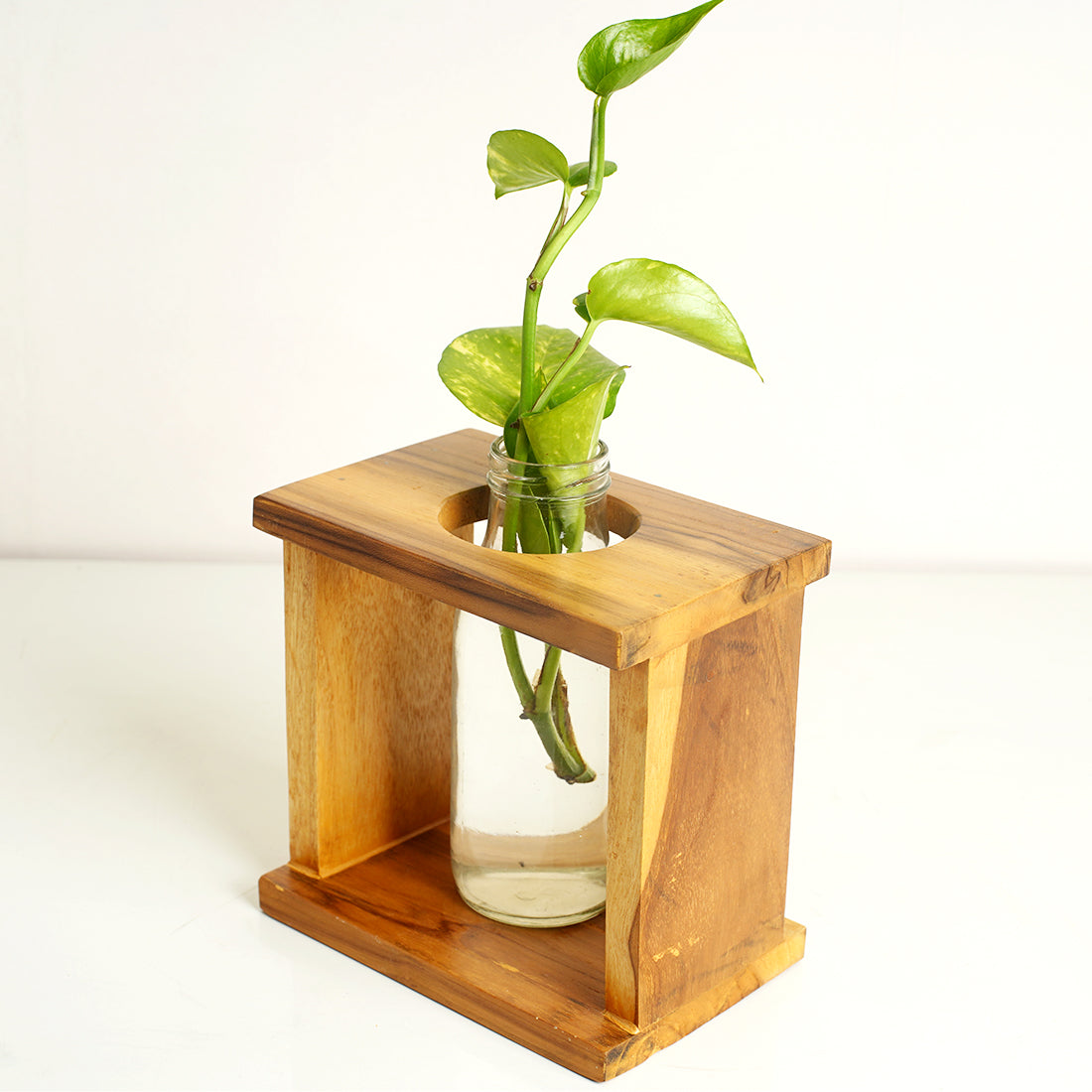 Square Test Tube Planter Pack of 2| Planters for Home Decor | Office Decor | Table top Plants | Planters for Living Room | Decorative Plants | Planter for Gifts | Table Decor