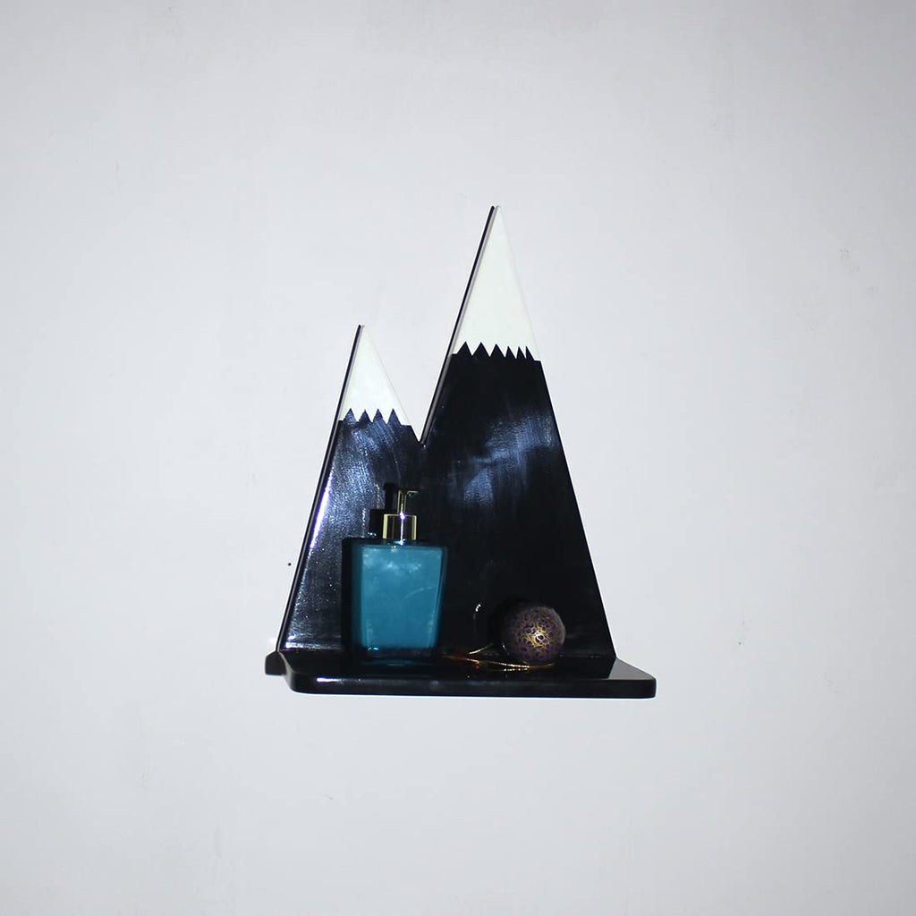 Floating Wall Shelf with accessories