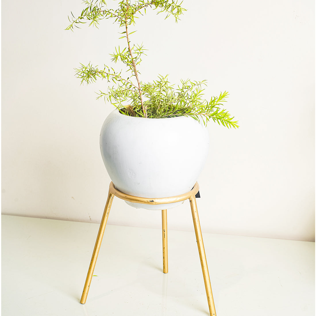 Metal Planters Long Round Gold Stand, Stylish Long Round Strong legs Perfect Stand For Planter indoor and Outdoor ( Planters Holder Stand - Set of 1)