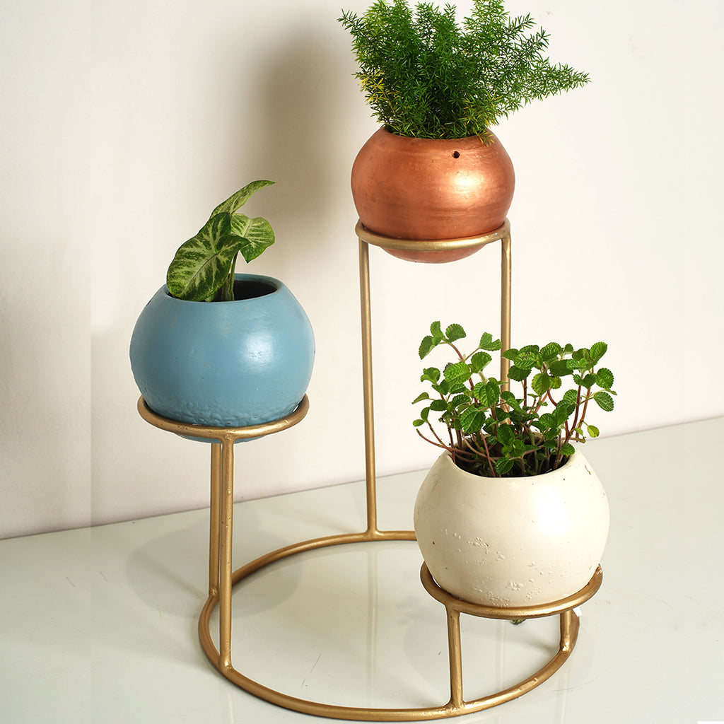 Tabletop 3 Tier Modern Style Planter Set, Indoor Outdoor Home Item for Garden Plants Flower, Balcony, Patio, Living Room, Garden, Bedroom Décor (Pack of 1)