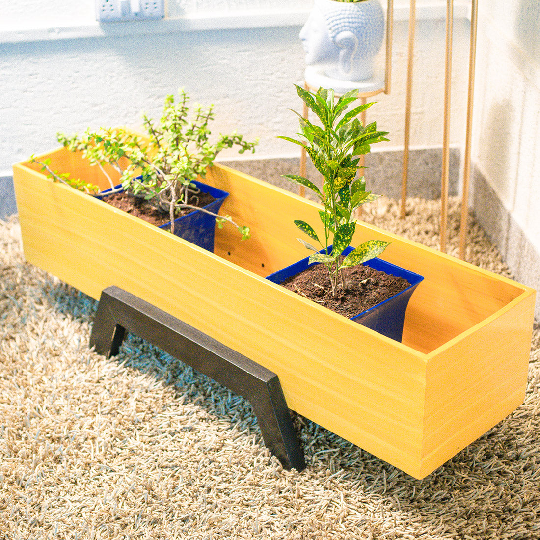 Rectangle Wooden Succulent Planter Box Indoor/Outdoor Eco-Friendly for Garden for Home