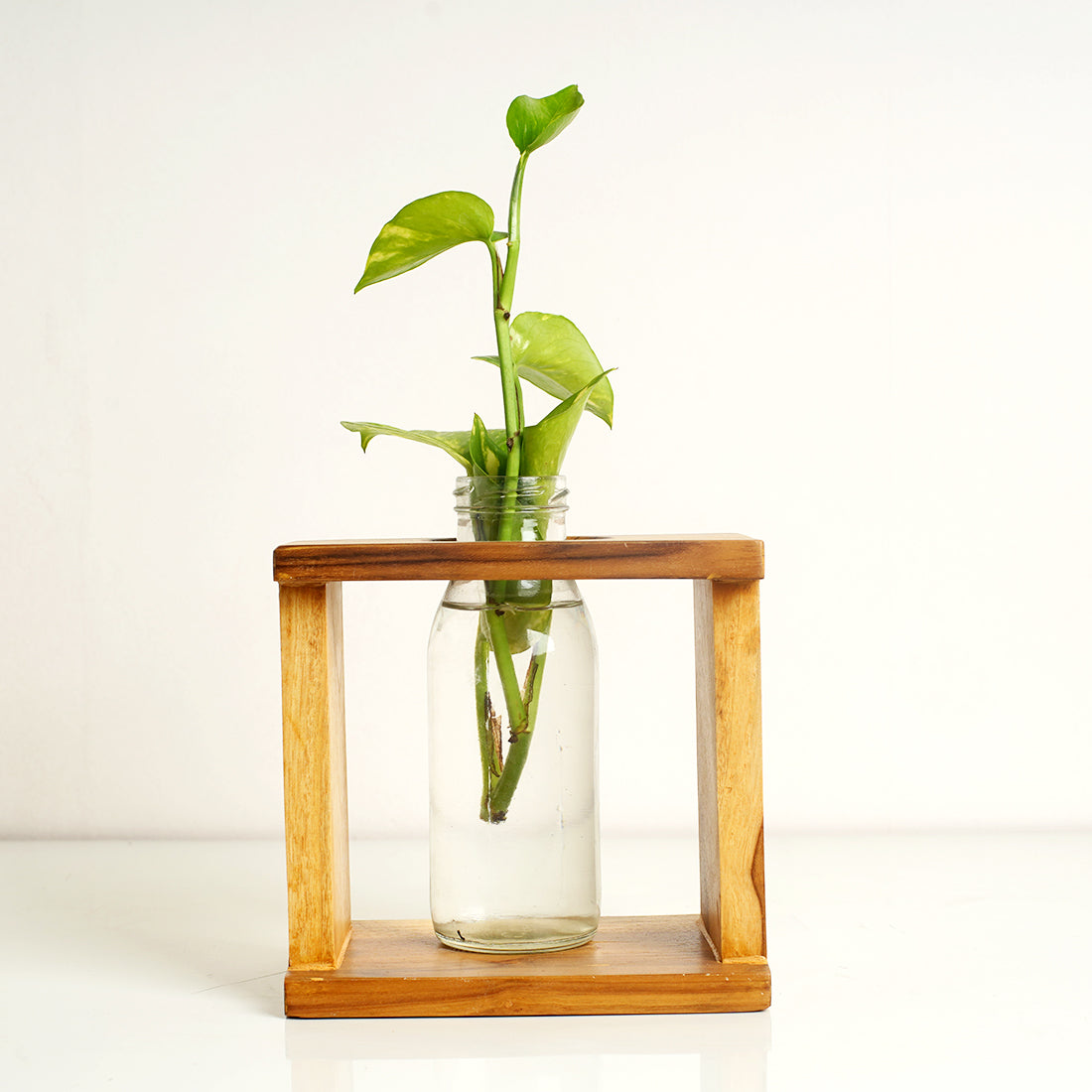 Square Test Tube Planter Pack of 2| Planters for Home Decor | Office Decor | Table top Plants | Planters for Living Room | Decorative Plants | Planter for Gifts | Table Decor