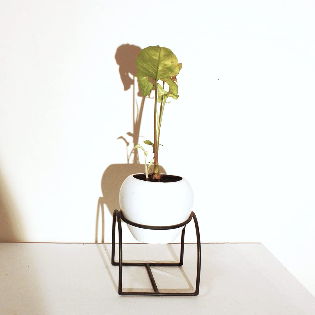 Modern Small Iron Plant Stand Without Planter, Corner Plant Stand, Kitchen Dining Table Pot Stand for Living Room Decor Home Decor Balcony Outdoor