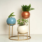 Tabletop 3 Tier Modern Style Planter Set, Indoor Outdoor Home Item for Garden Plants Flower, Balcony, Patio, Living Room, Garden, Bedroom Décor (Pack of 1)