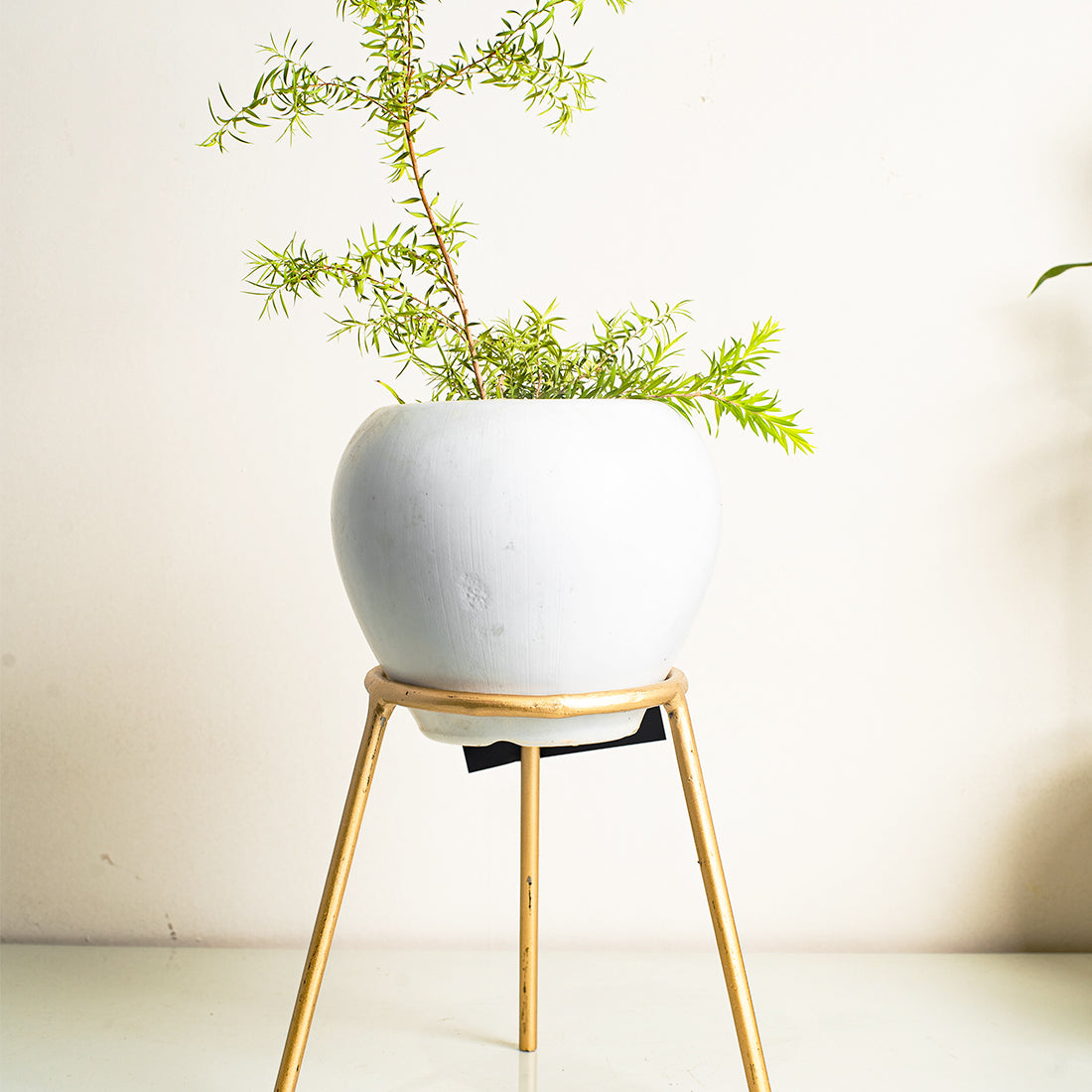 Metal Planters Long Round Gold Stand, Stylish Long Round Strong legs Perfect Stand For Planter indoor and Outdoor ( Planters Holder Stand - Set of 1)