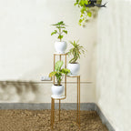 Iron Plant Stand Outdoor (front Look)