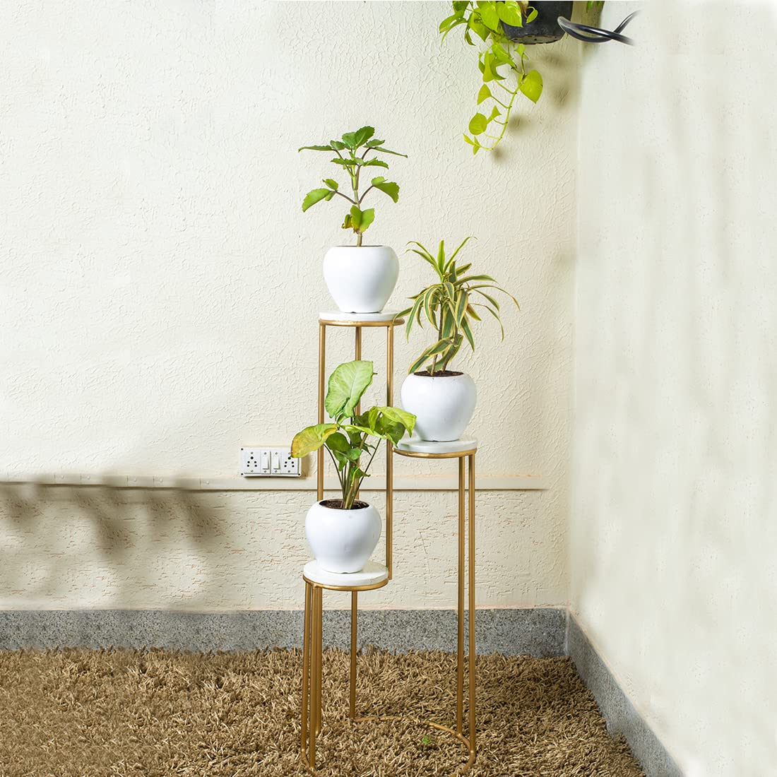 Iron Plant Stand Outdoor (front Look)