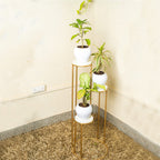 Iron Plant Stand Outdoor (Top Look)