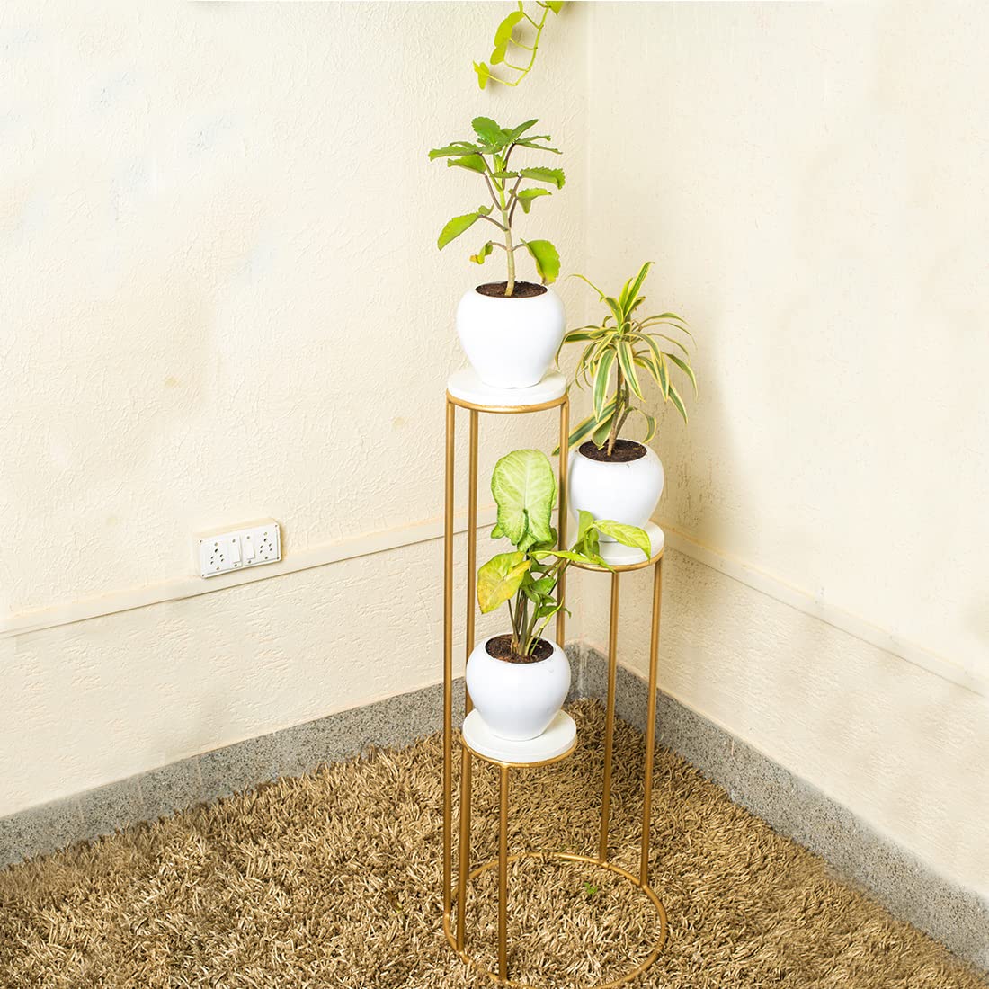 Iron Plant Stand Outdoor (Top Look)