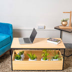 Rectangular Shape Coffee Table/Centre Table with Storage